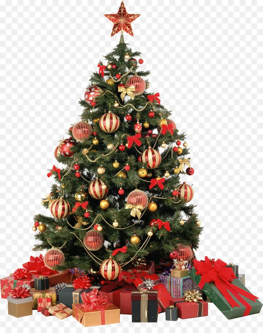 Árbol De Navidad，árbol PNG