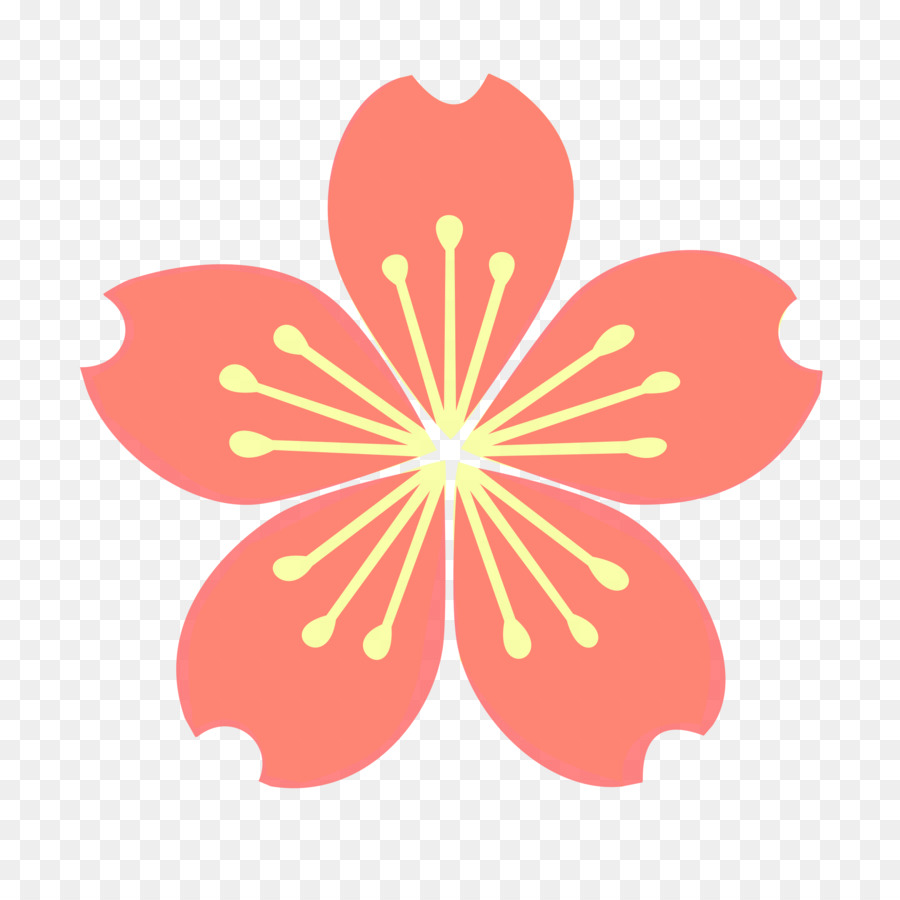 Flor，Florecer PNG