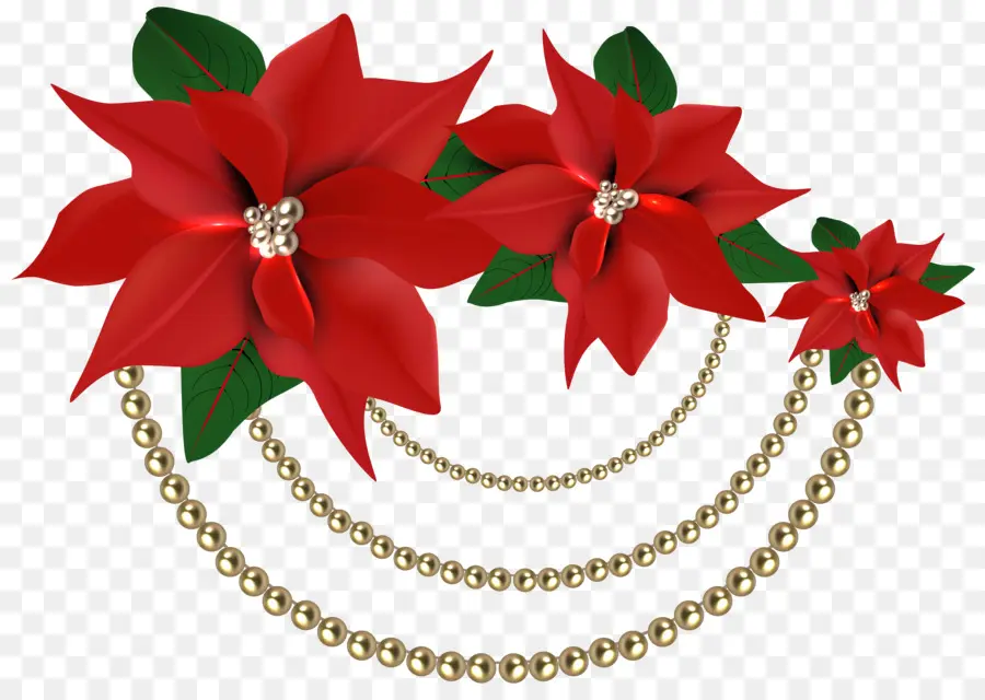 Poinsettia，Navidad PNG