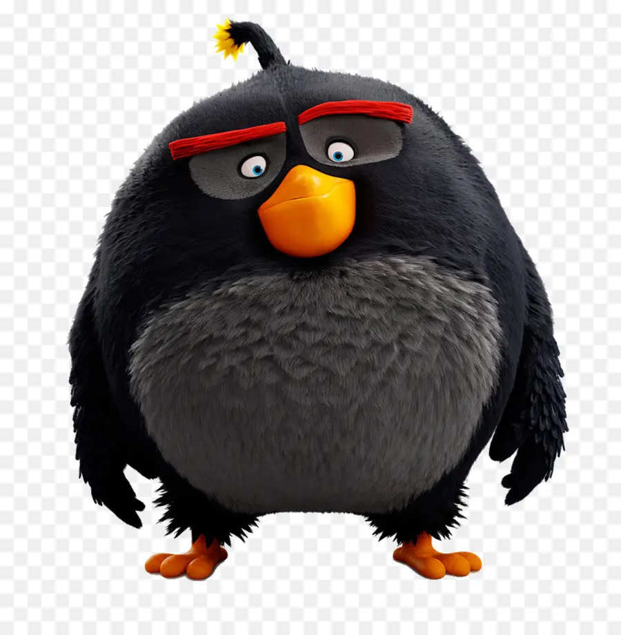 Pájaro Negro，Dibujos Animados PNG