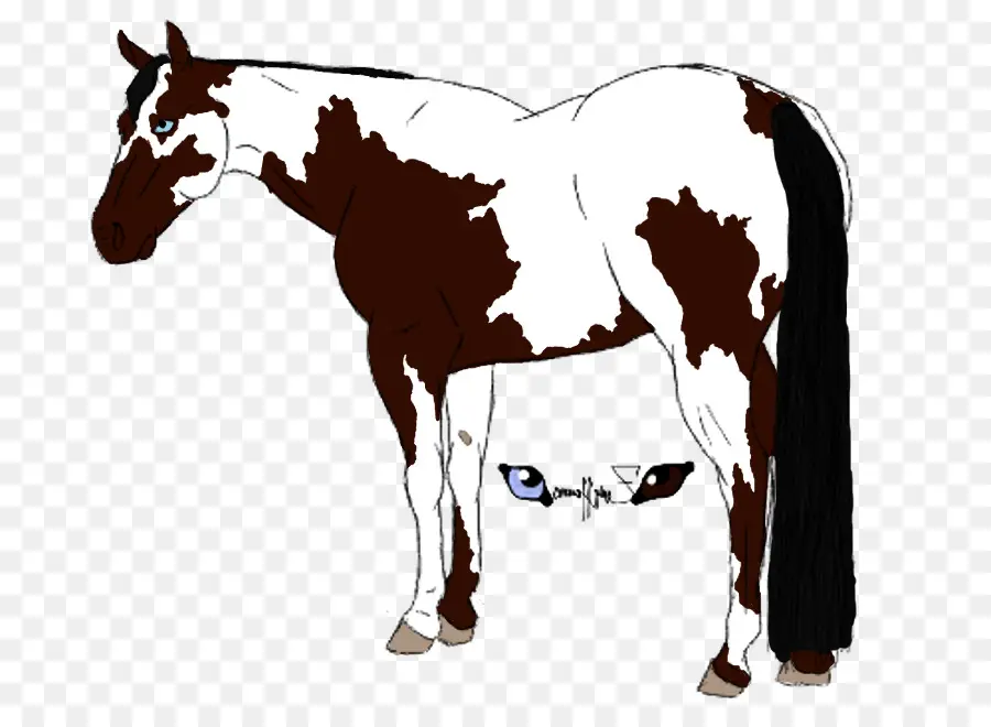 American Paint Horse，Potro PNG