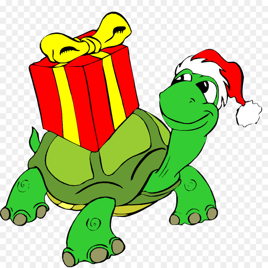 Tortuga，Regalo PNG