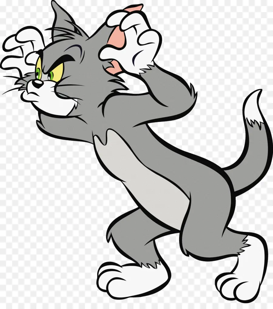 Gato Tom，Tom Y Jerry PNG