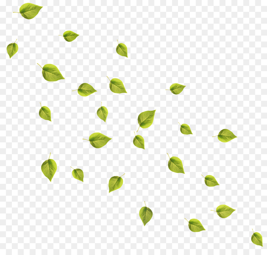 Hojas Verdes，Hojas PNG