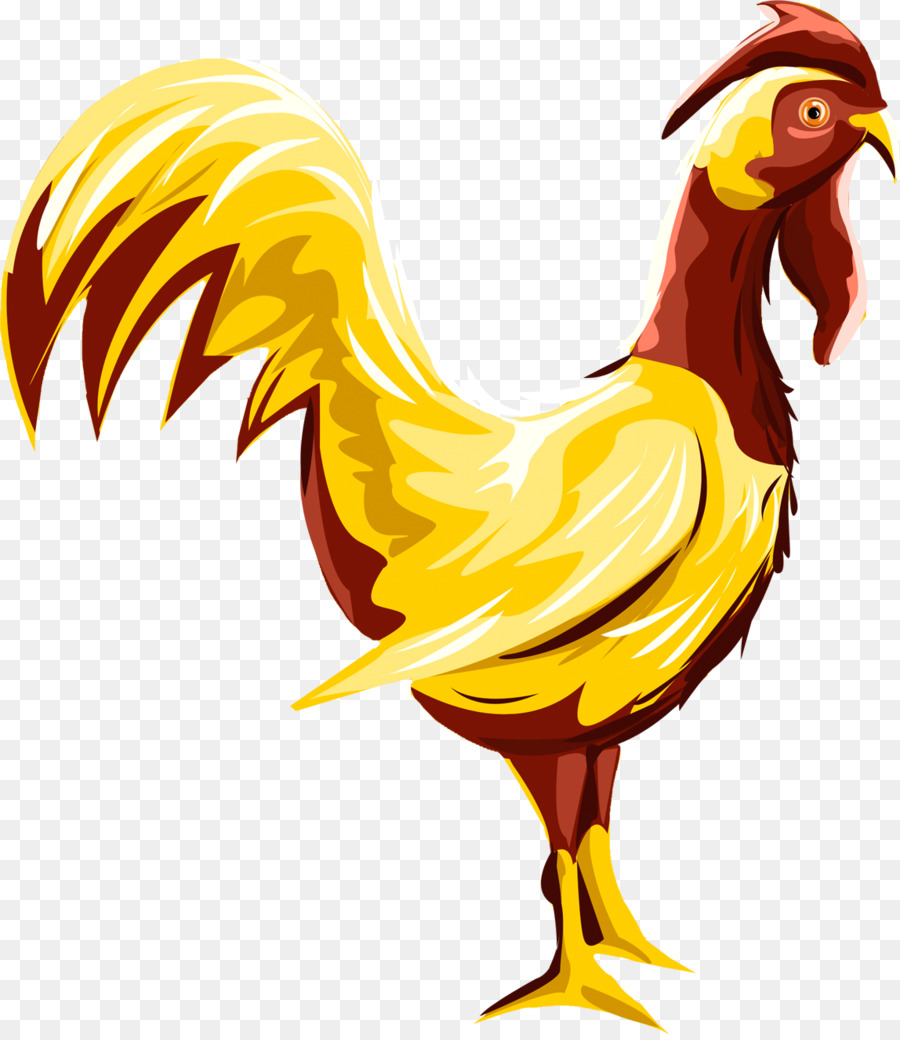 Pollo，Gallo PNG