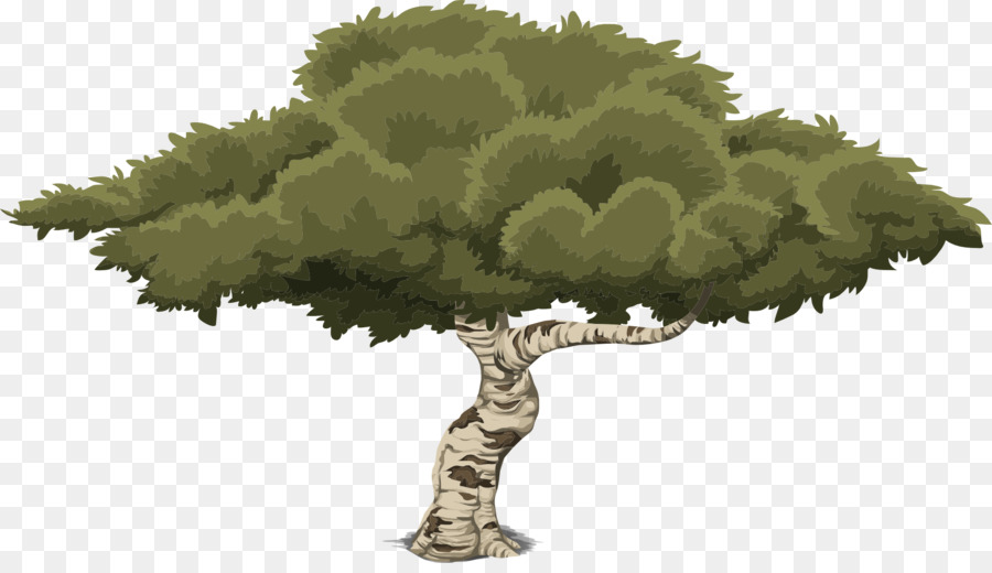 árbol，Dibujo PNG