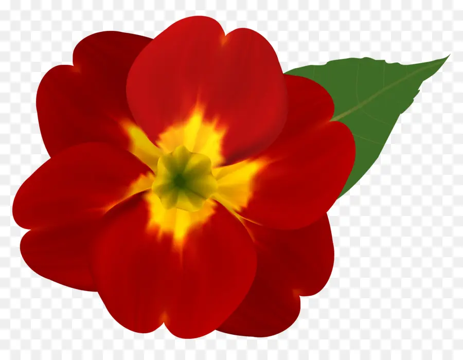 Flor，Rojo PNG