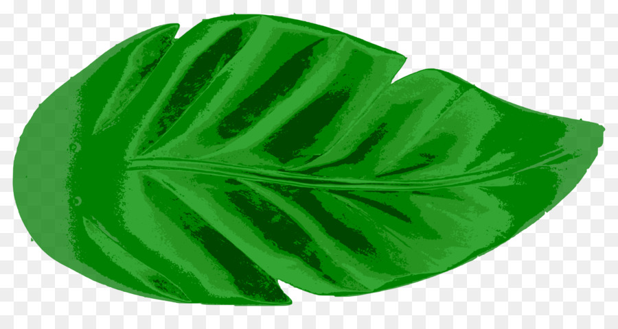 Hoja Verde，Naturaleza PNG