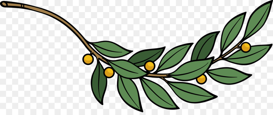 Corona De Laurel，Laurel PNG