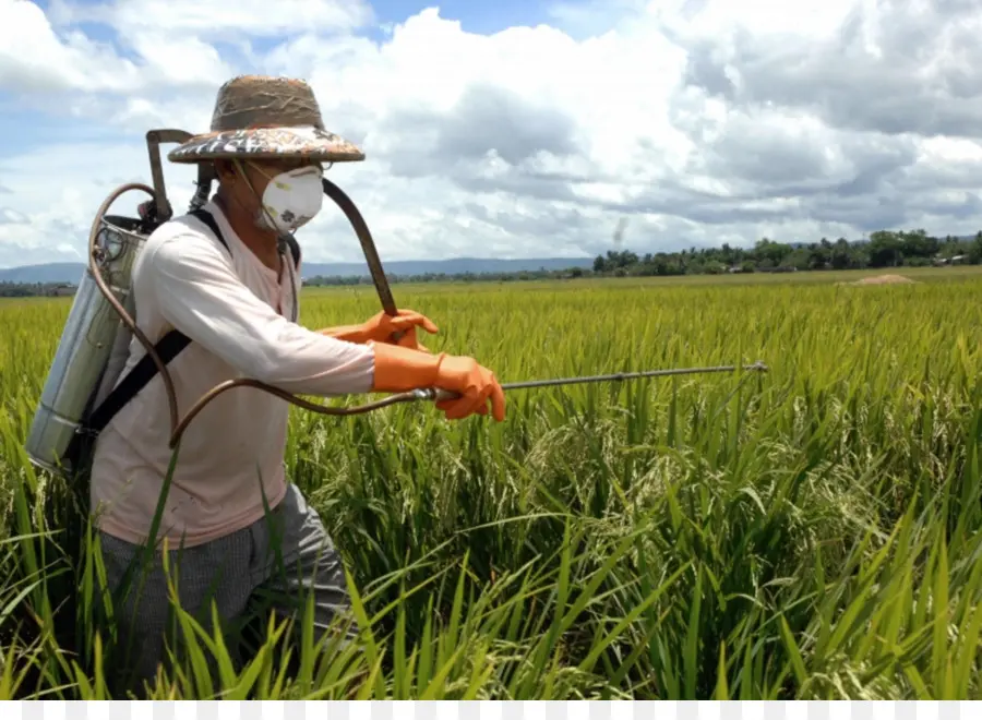 Pulverización De Agricultores，Campo PNG