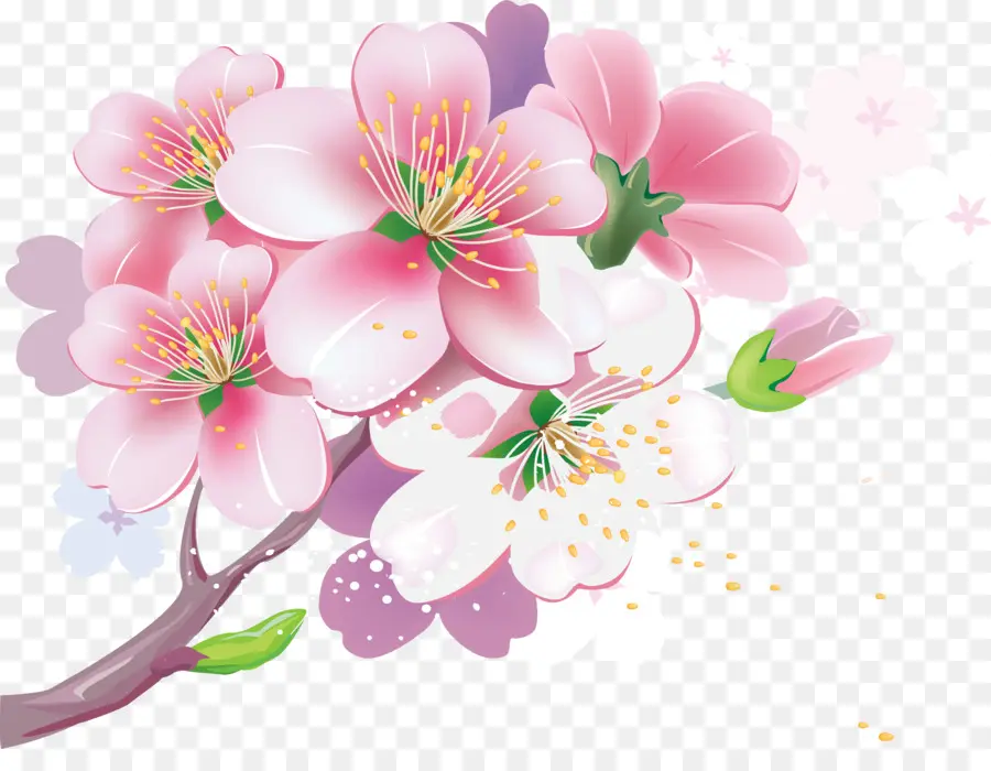 De Los Cerezos En Flor，Royaltyfree PNG