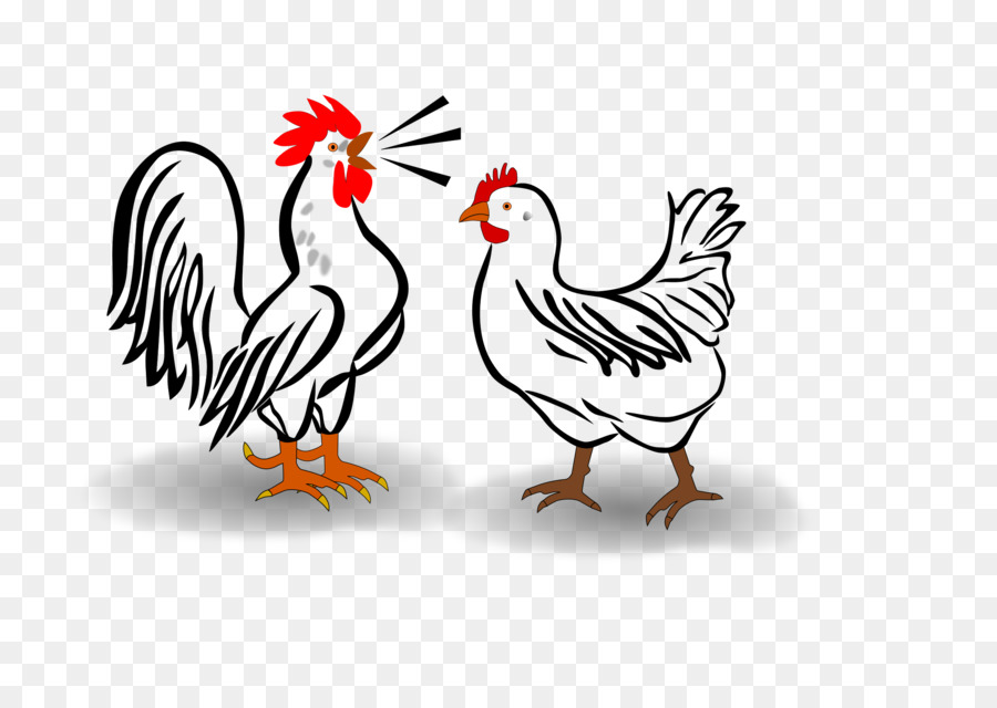 Pollo，Gallo PNG