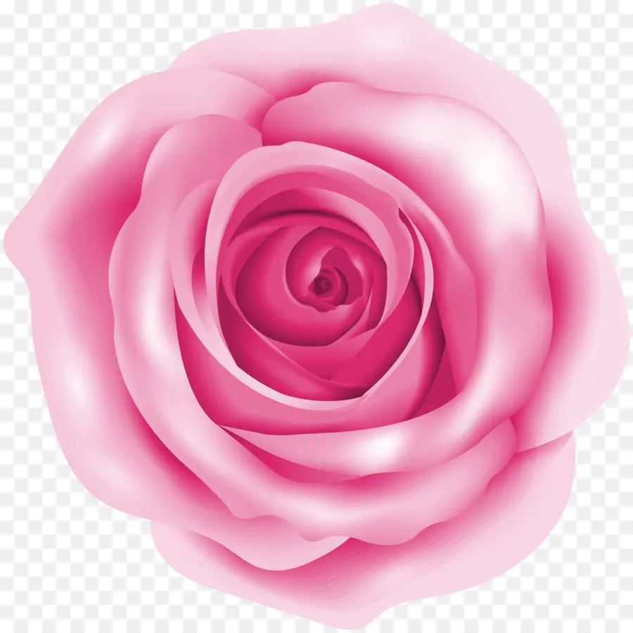 Rosa，Gratis PNG