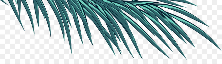 Arecaceae，Azul PNG