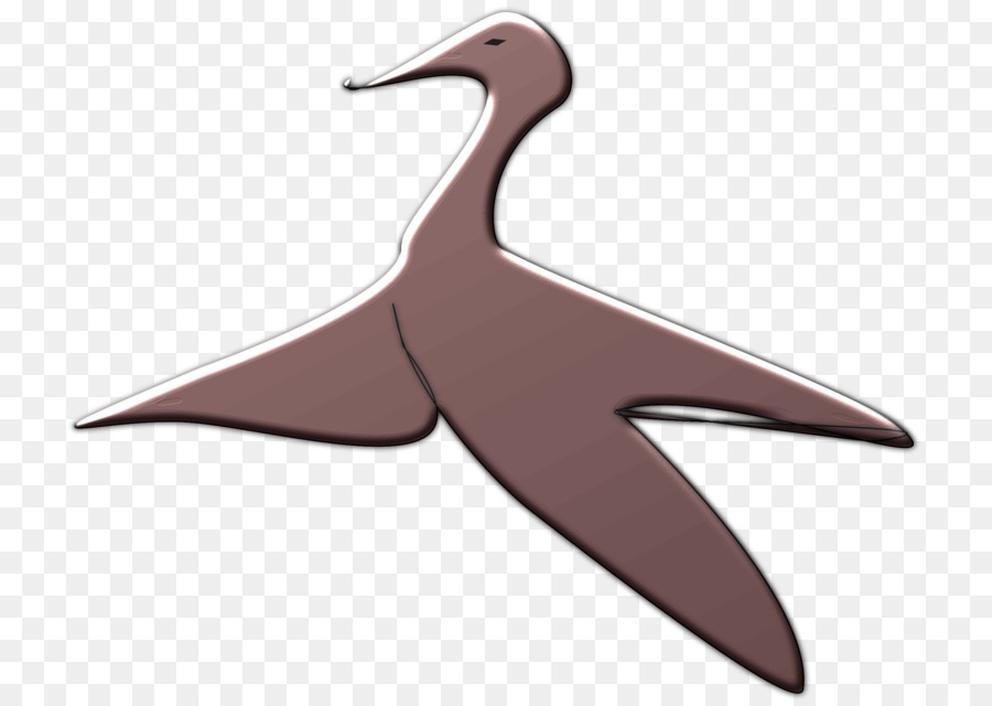 Pájaro，Vuelo PNG