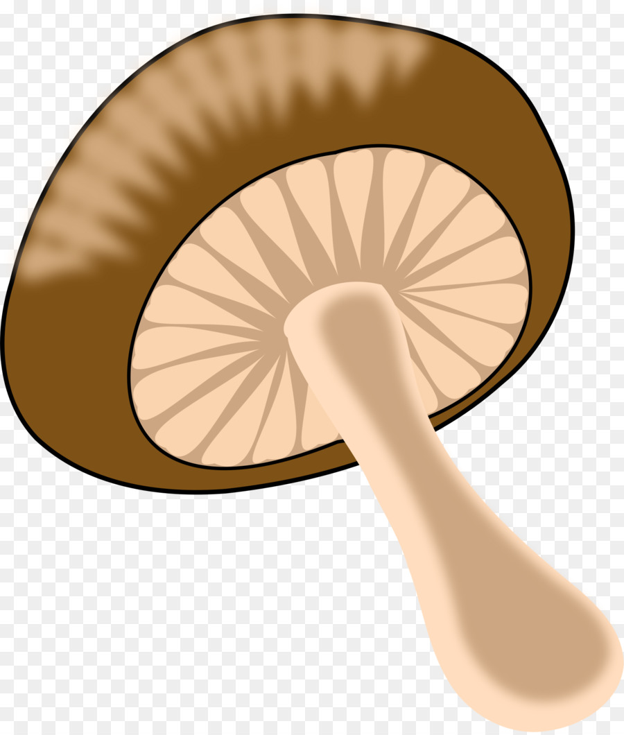 Champiñón，Hongos PNG