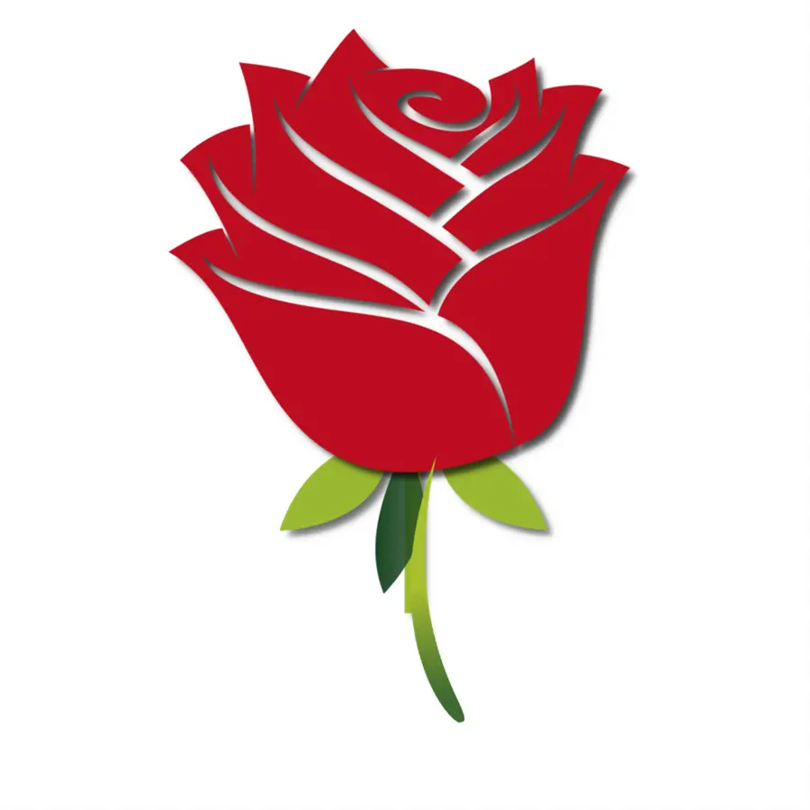 Rosa，Flor PNG