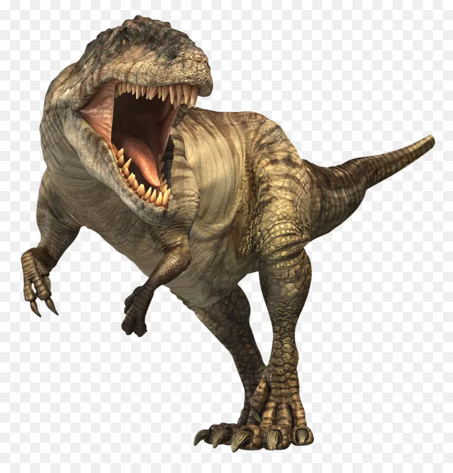 Gigantosauro，Tyrannosaurus PNG