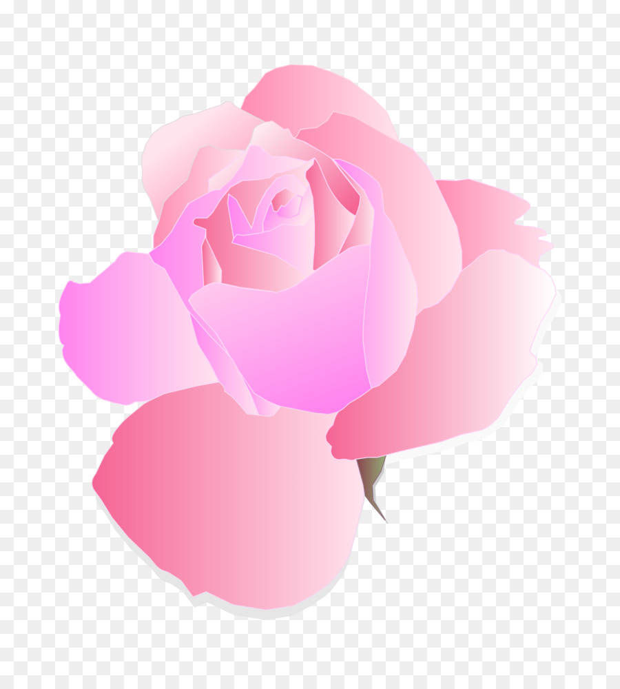 Rosa，Gratis PNG