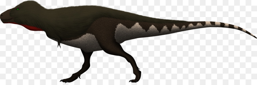 Tyrannosaurus，Gigantosauro PNG