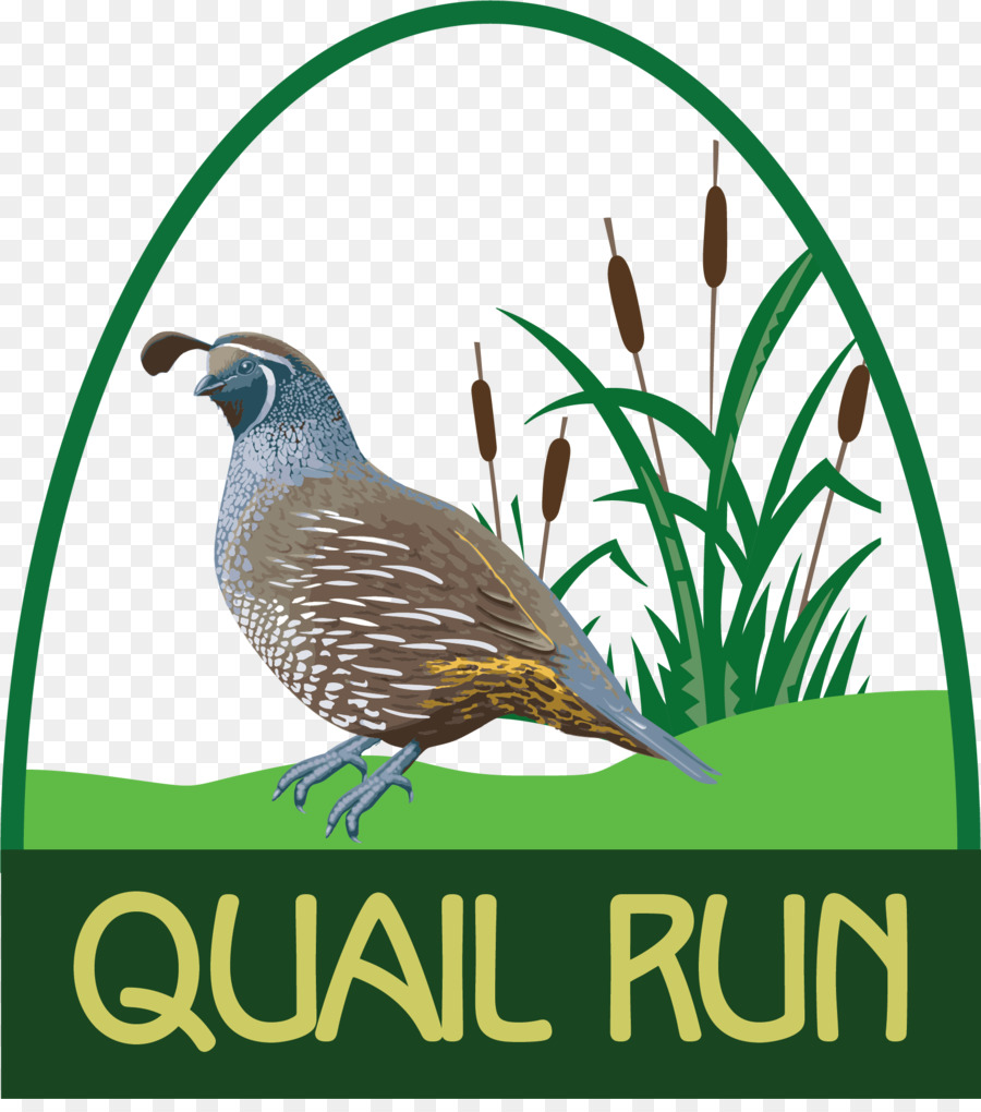 Richland Center，Quail Run Golf Links PNG