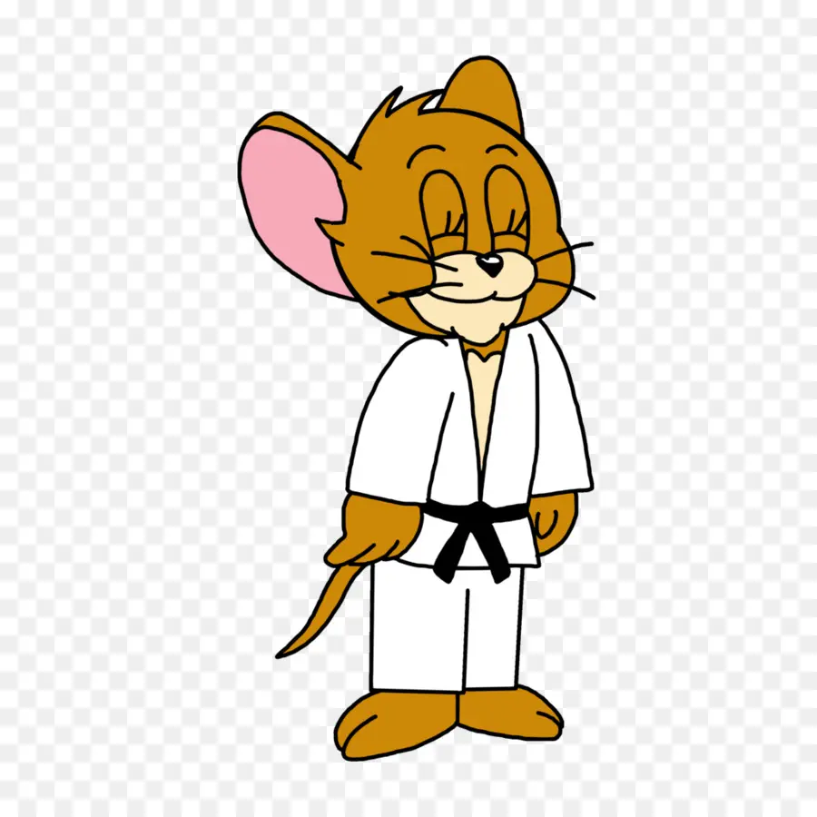 Judo，De Dibujos Animados PNG