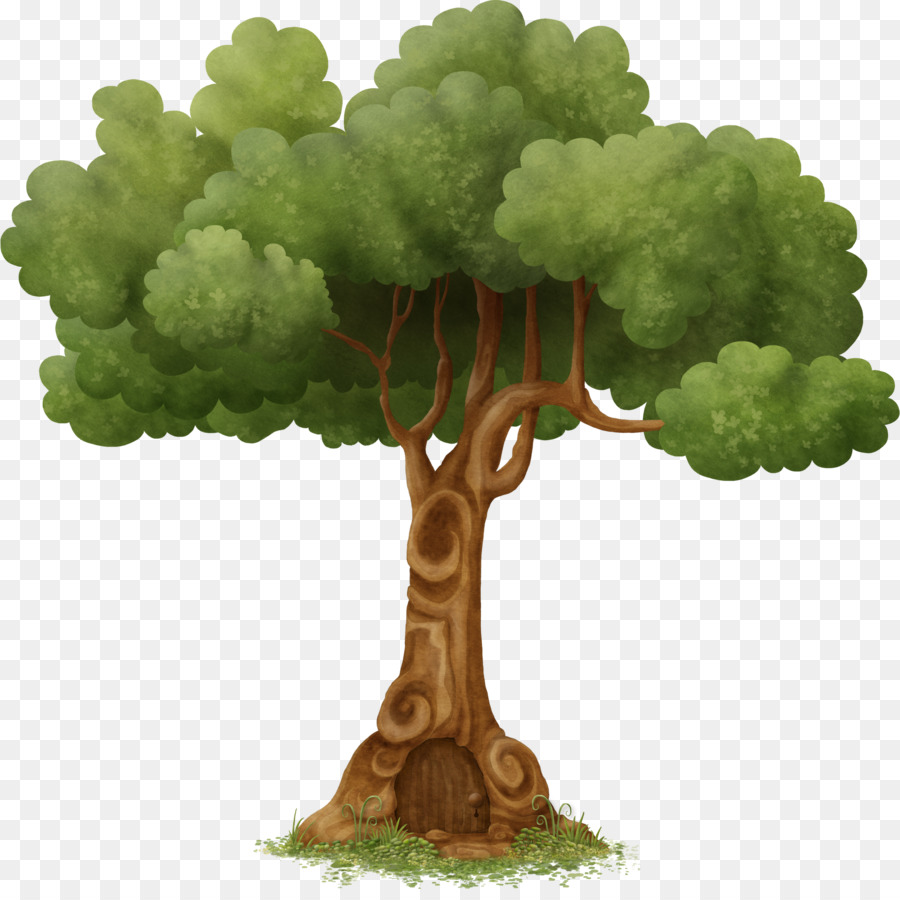 Árbol，Hojas PNG