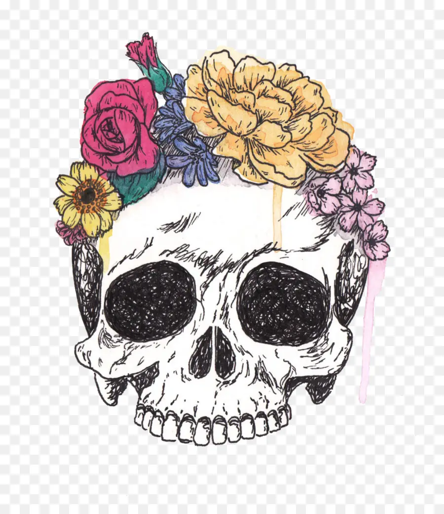 Cráneo，Calavera PNG