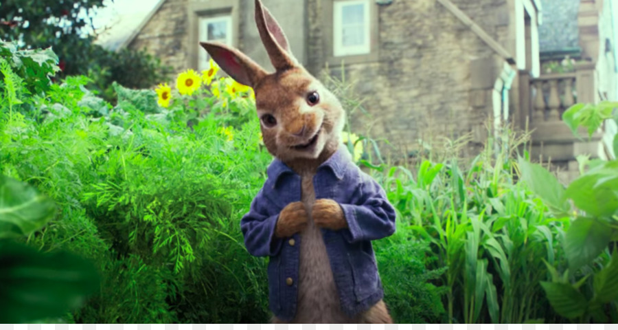 Cuento De Peter Rabbit，El Señor Mcgregor PNG