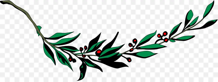 La Corona De Laurel，Laurel PNG