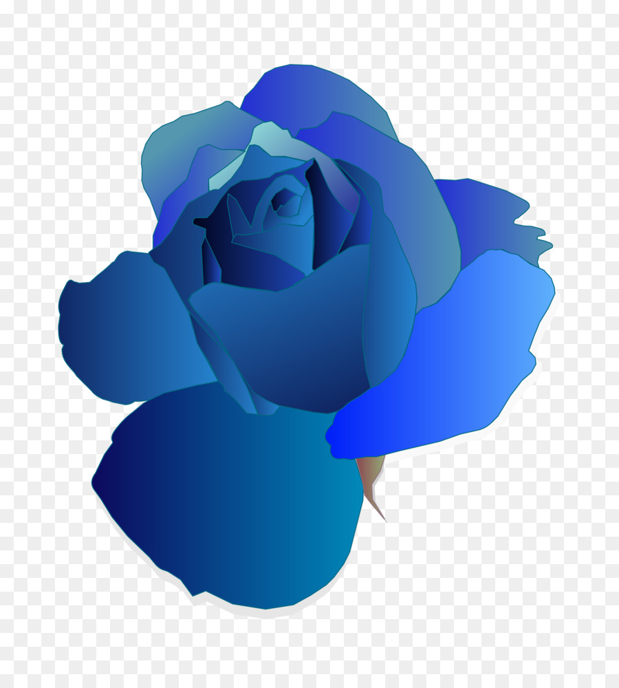 Rosa Azul，Rosa PNG