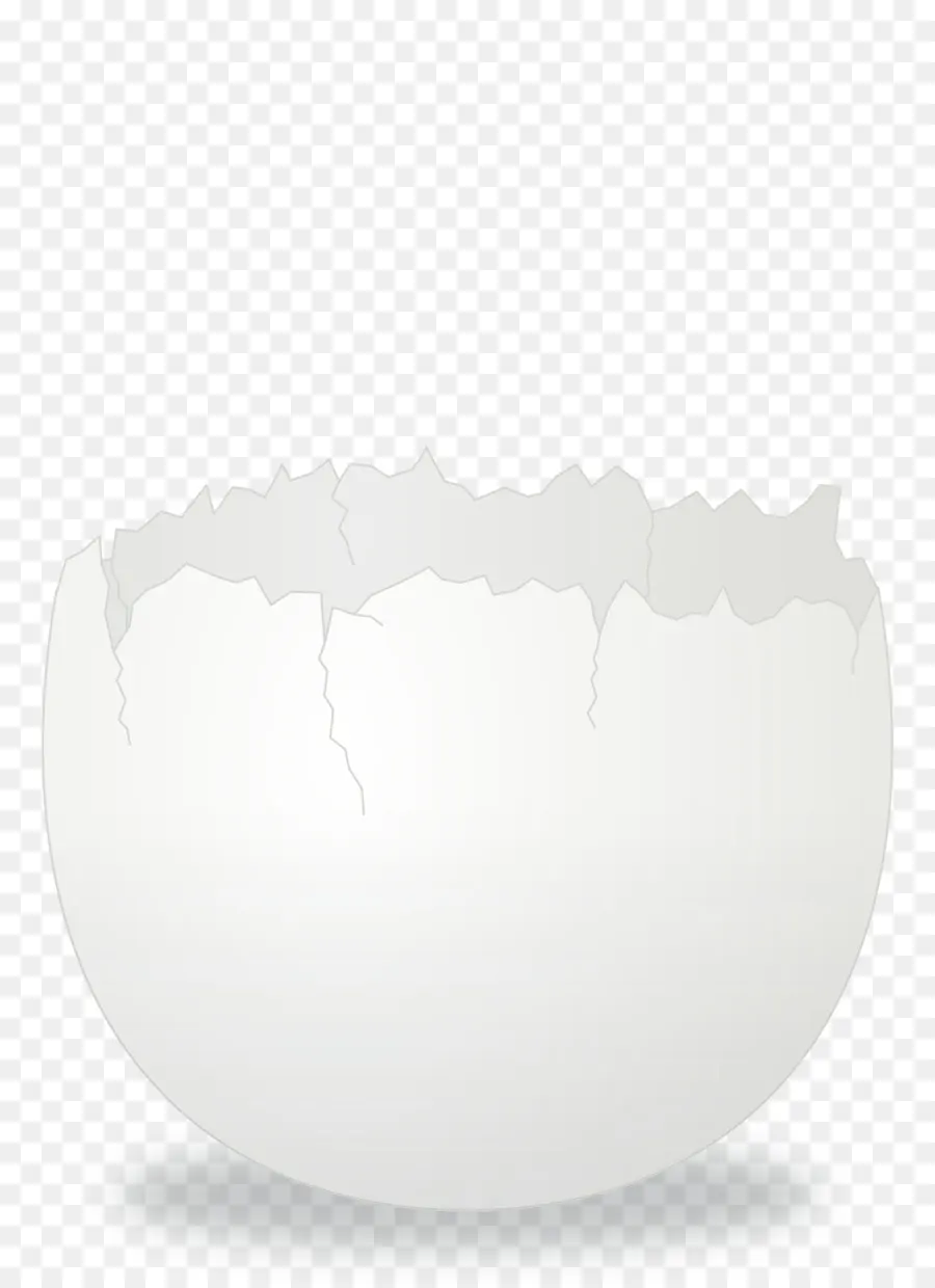 Huevo，La Cáscara De Huevo PNG