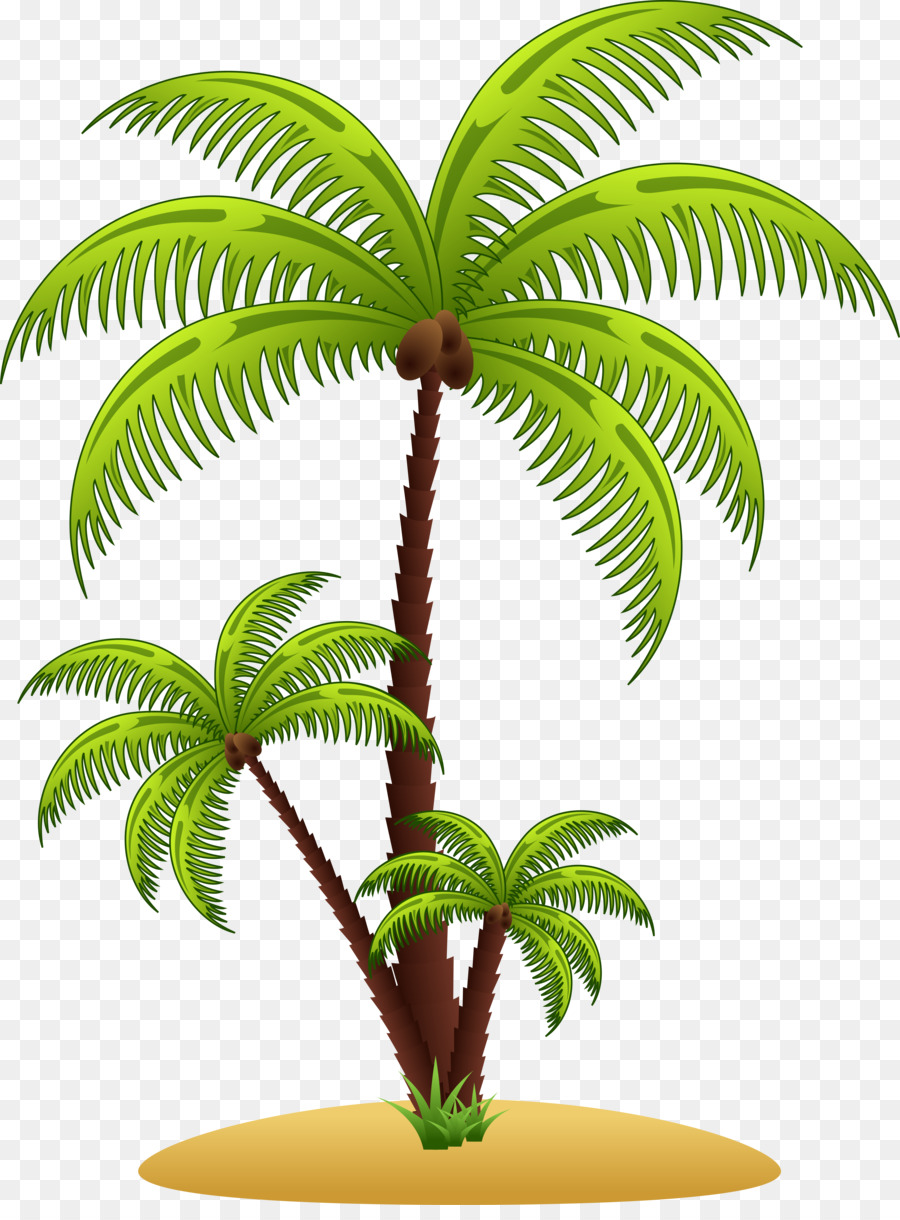 Palmera，Tropical PNG