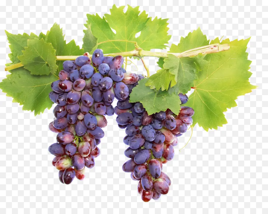 Cabernet Sauvignon，Vino PNG