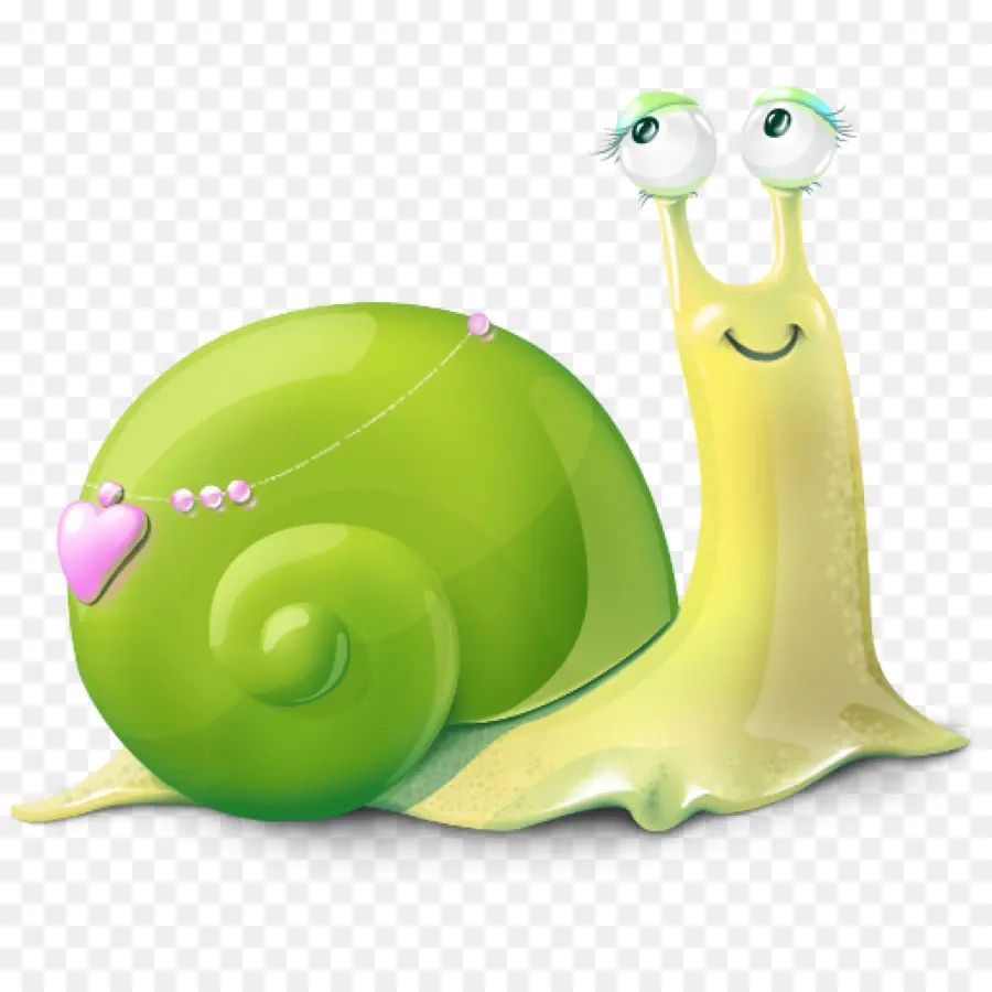 Caracol，Caracol De Mar PNG