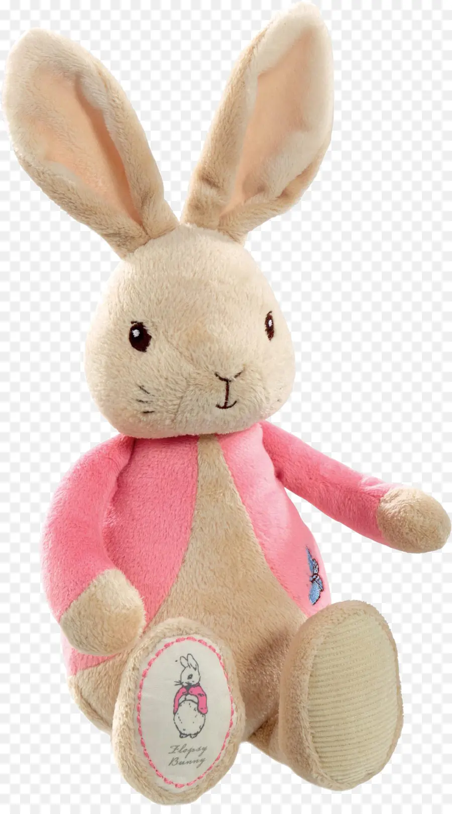 Historia De La Flopsy Conejitos，Peter Rabbit PNG