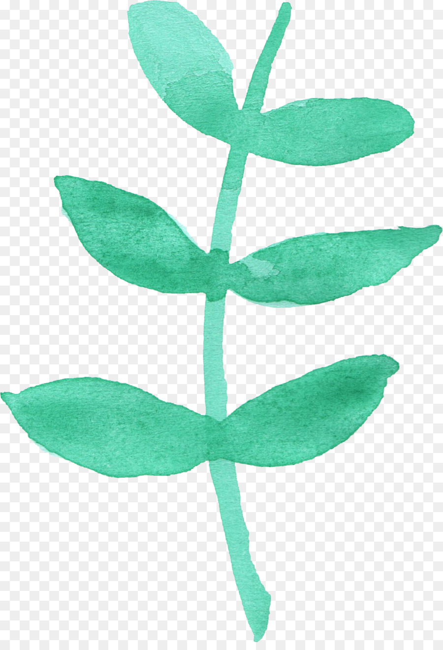 Lirio De Los Valles，Flor PNG