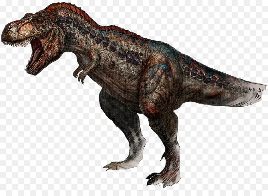 Arca De Supervivencia Evolucionado，Tyrannosaurus PNG