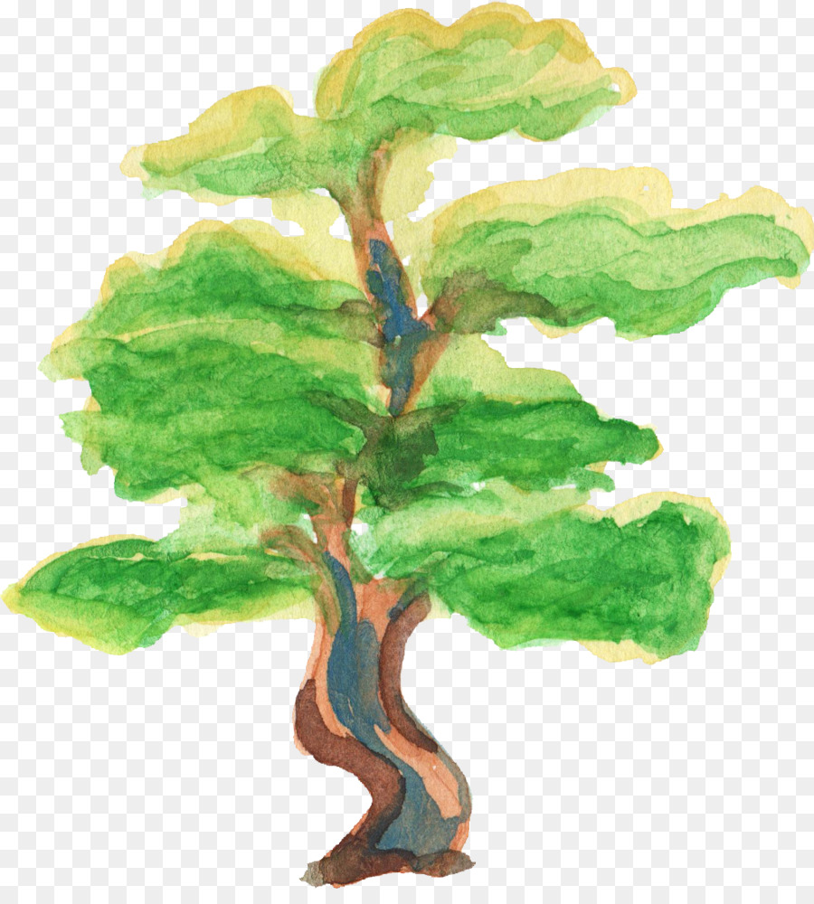 árbol，Pintura A La Acuarela PNG