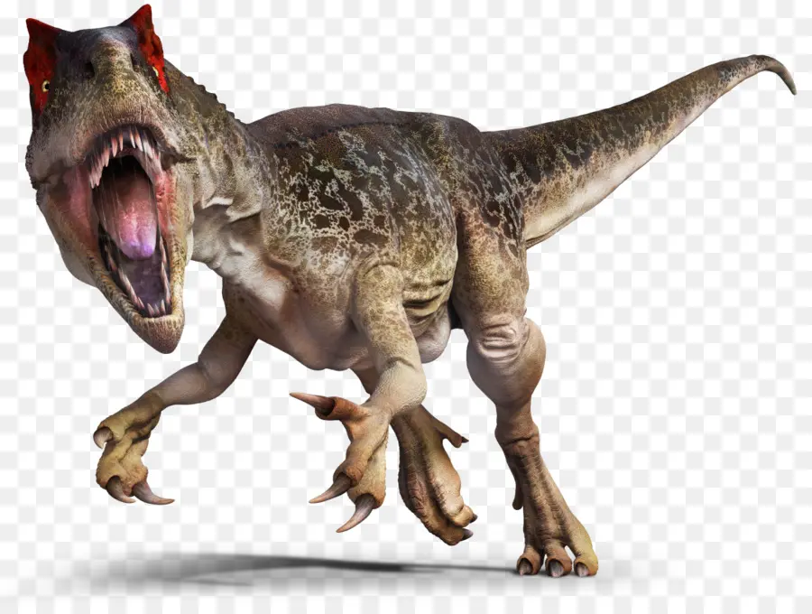 Allosaurus，Saurophaganax PNG