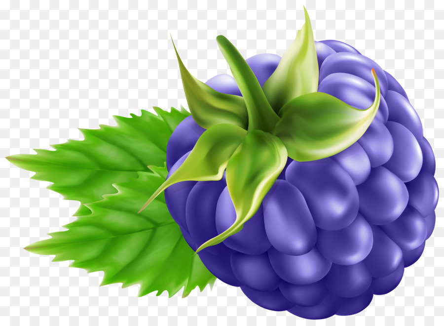 Blackberry，La Fruta PNG