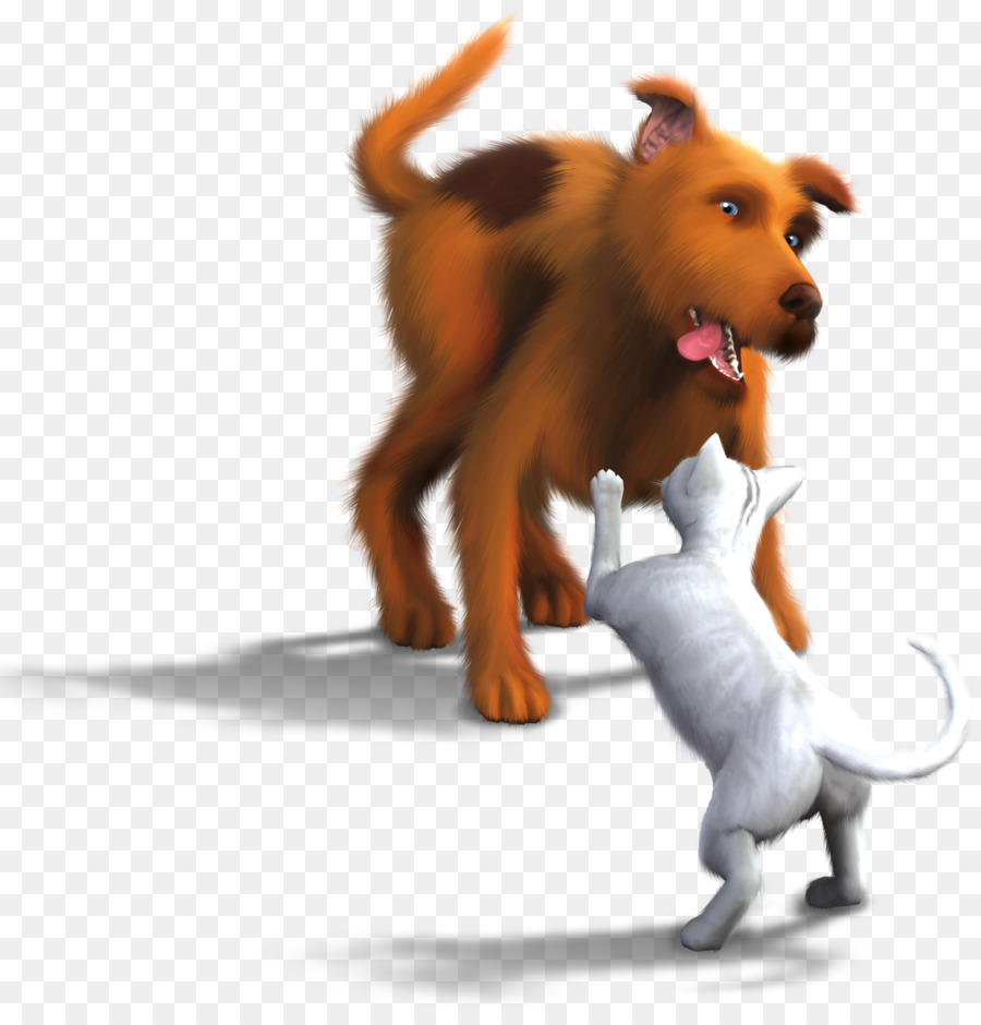 Perro Y Gato，Jugando PNG