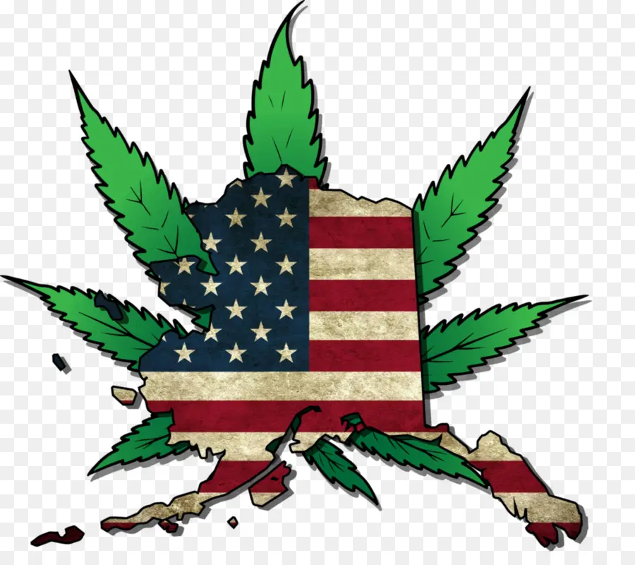 Mapa Del Cannabis Y Estados Unidos，Bandera PNG