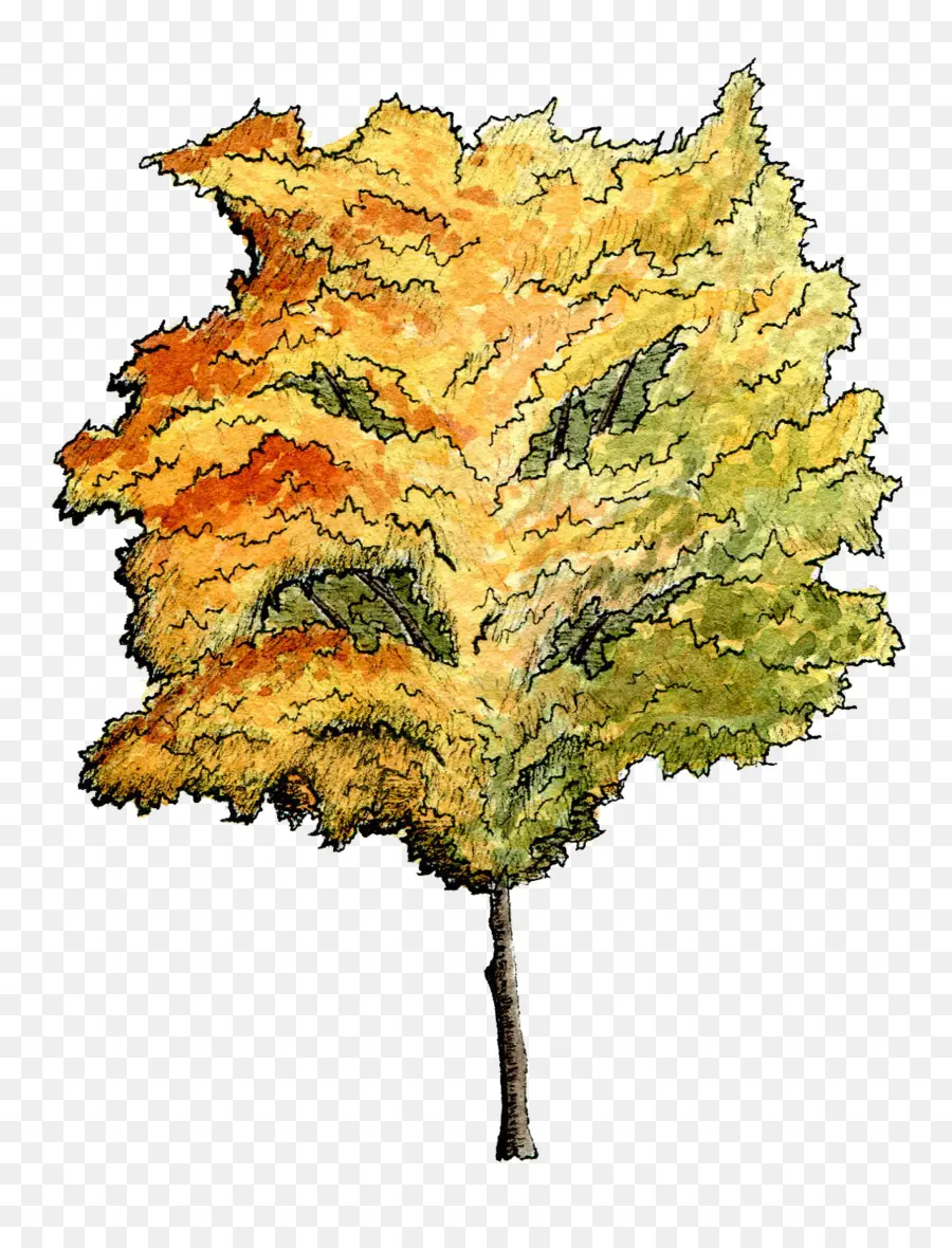 árbol，Pintura De Acuarela PNG