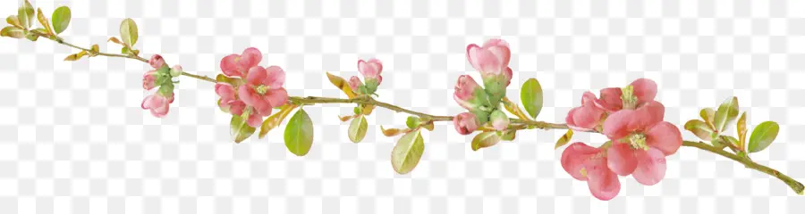 La Primavera，Formato Gerber PNG