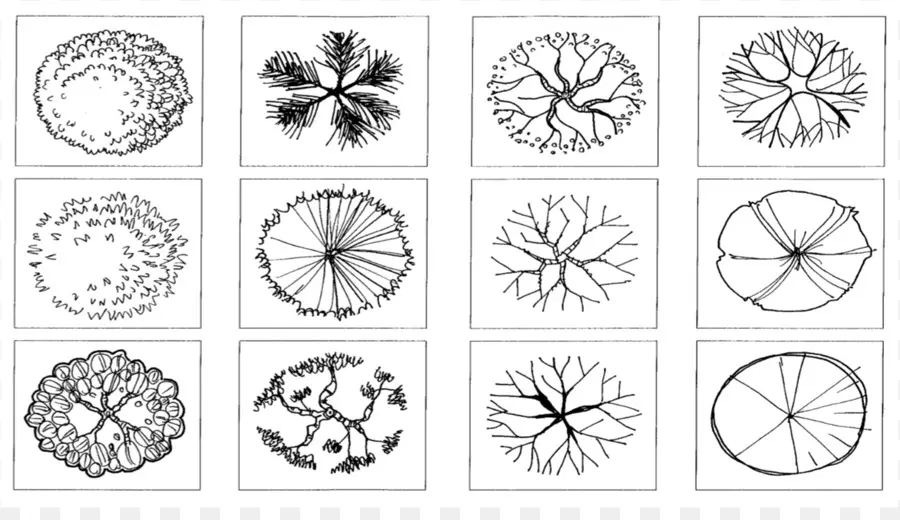 Diagramas De árbol，Bosquejo PNG