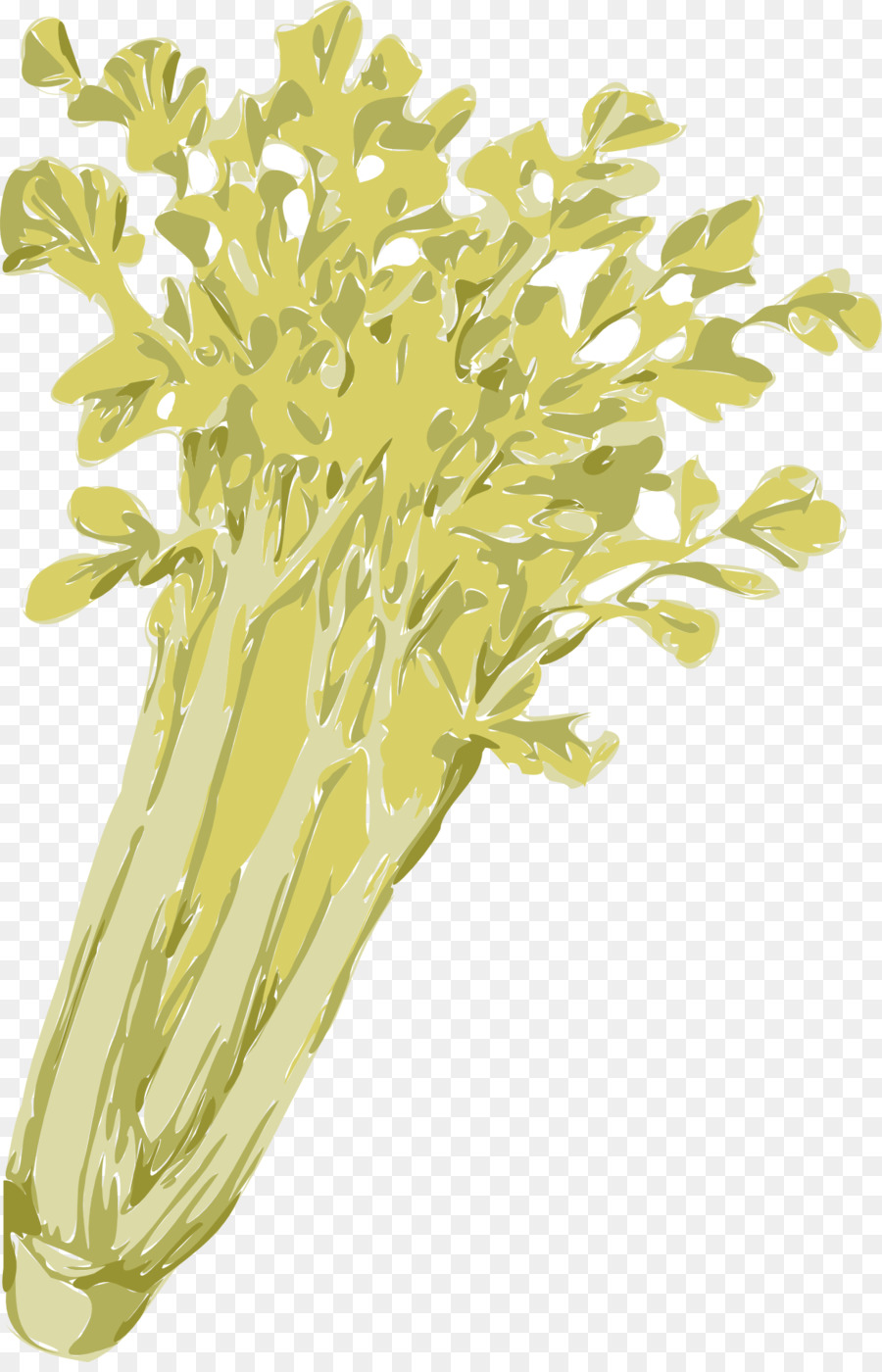 Apio，Ensalada PNG