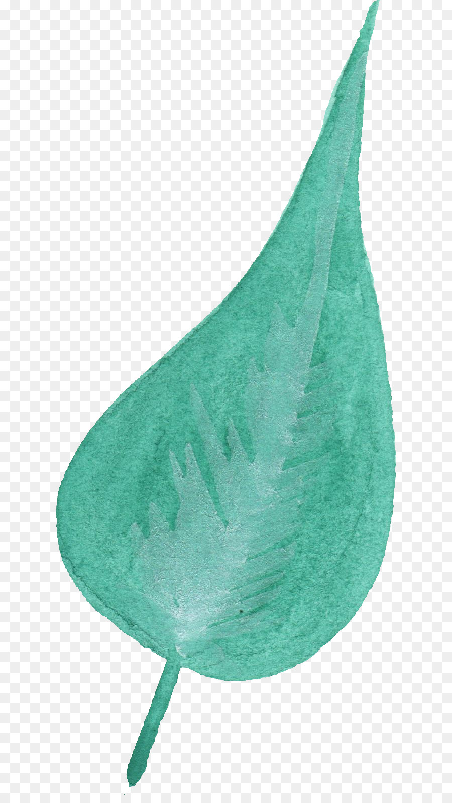 Hoja，Teal PNG