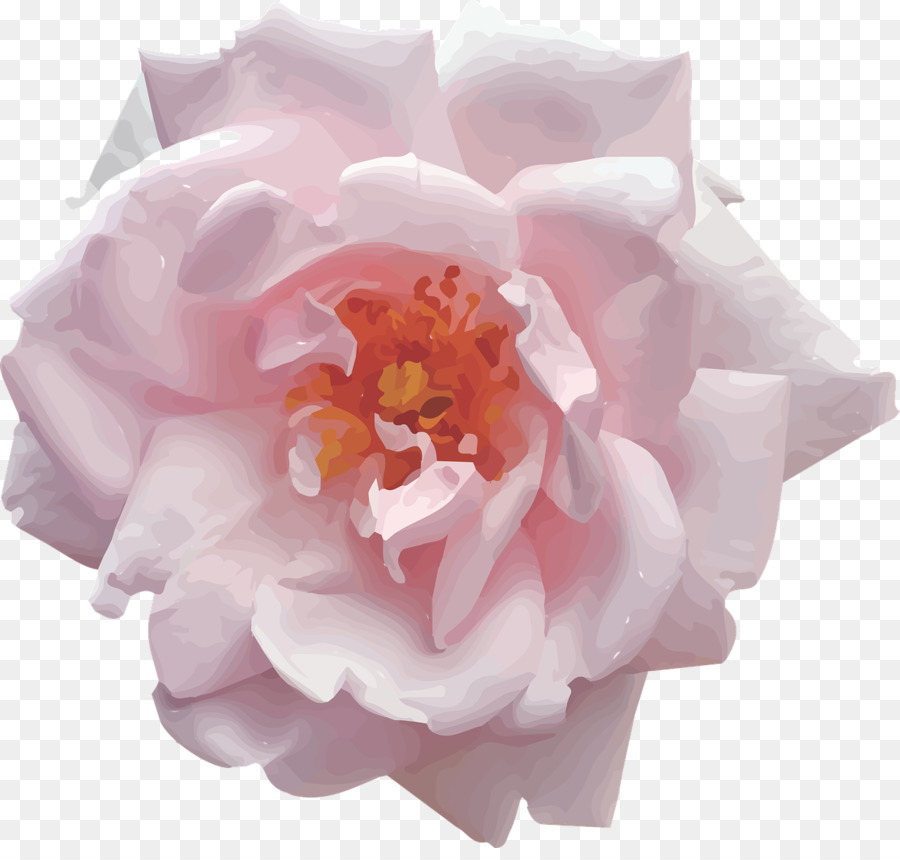 Flor Rosa，Florecer PNG