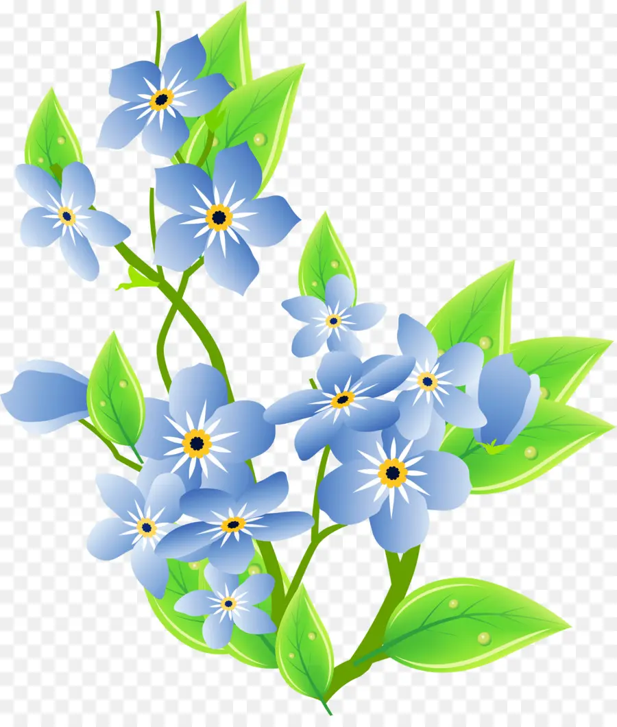 Flor，Myosotis Sylvatica PNG